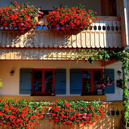 Gaestehaus Wild-Schuetz Швангау Экстерьер фото